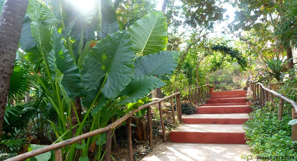 Secret Garden Resort Patnem Beach Екстер'єр фото